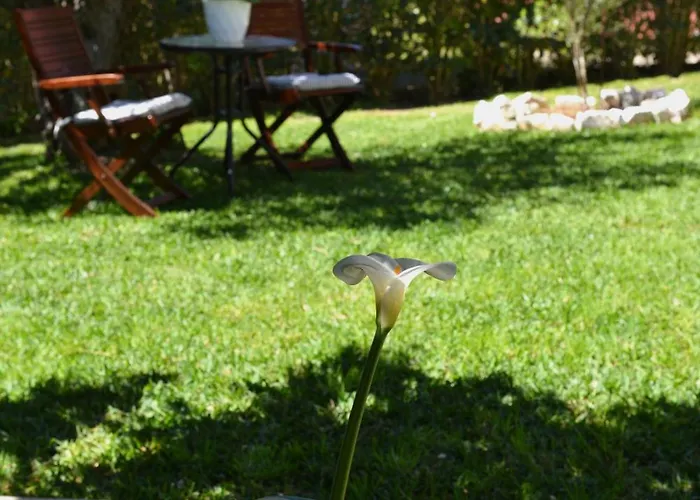 Robusto Apartment Kontokali