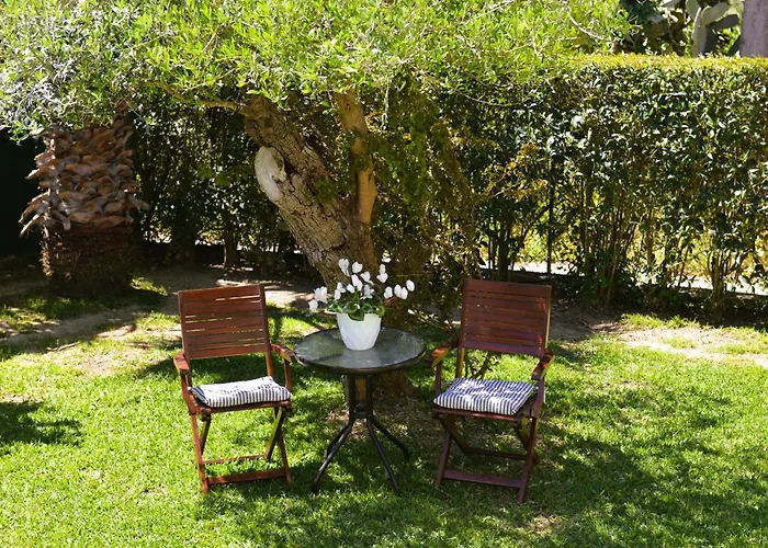 Robusto Appartement *