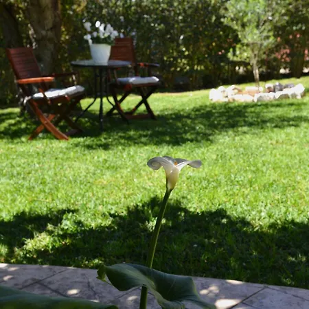 Robusto Cosy With Garden Near Corfu Town Lägenhet Kontokali