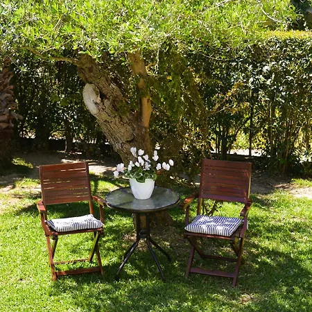 Robusto Cosy With Garden Near Corfu Town Lägenhet *