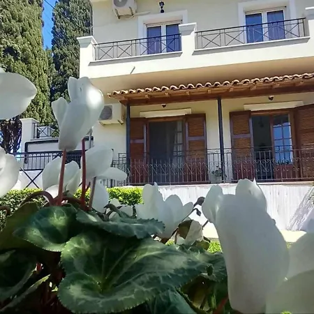 Robusto Cosy With Garden Near Corfu Town Διαμέρισμα *